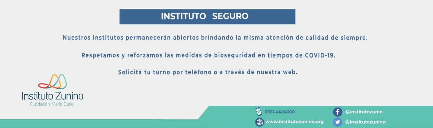 Instituto Seguro